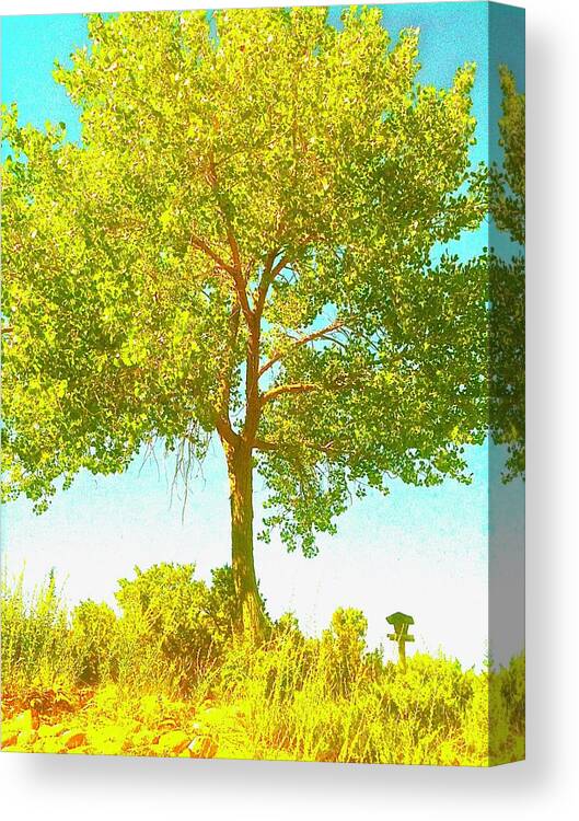 Tree Canvas Print featuring the photograph Santa Fe Tree 2 by Marty Klar