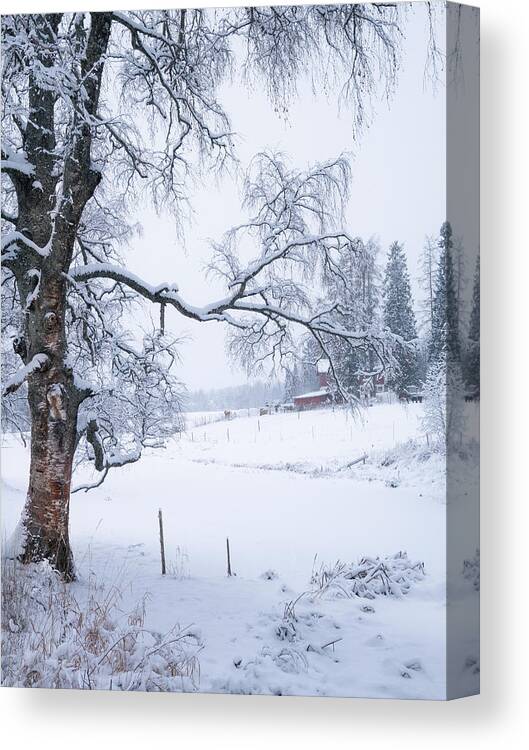 Landscape Canvas Print featuring the photograph Scenic Winter Landscape With Leafless by Jani Riekkinen