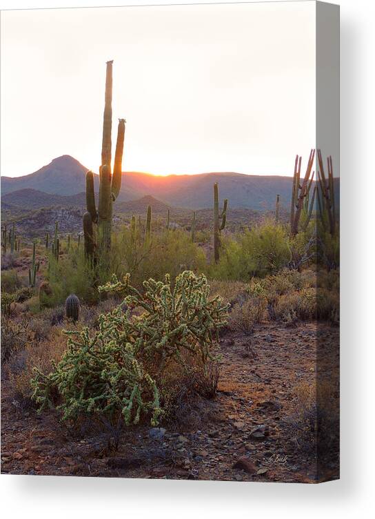 Tramonto Canvas Print featuring the photograph Setting Sun by Gordon Beck