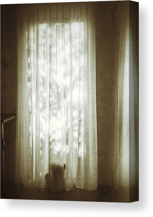 Lonely Canvas Print featuring the photograph Shadows Inside by Ellen Kolff