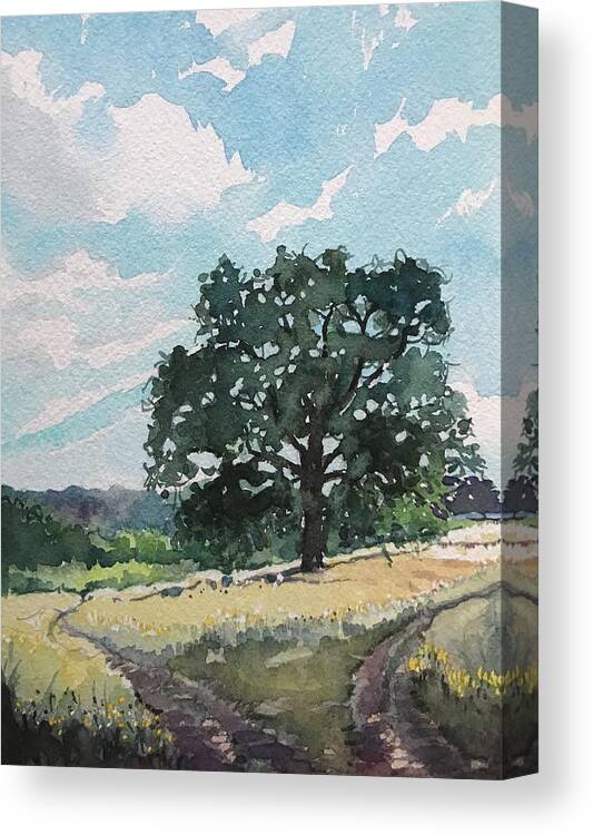Santa Monica Canvas Print featuring the painting Shady Oak - Paramount Ranch by Luisa Millicent