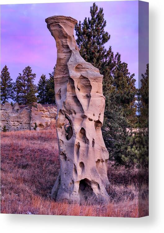 Art Canvas Print featuring the photograph Shapes of Time in Sandstone by Leland D Howard