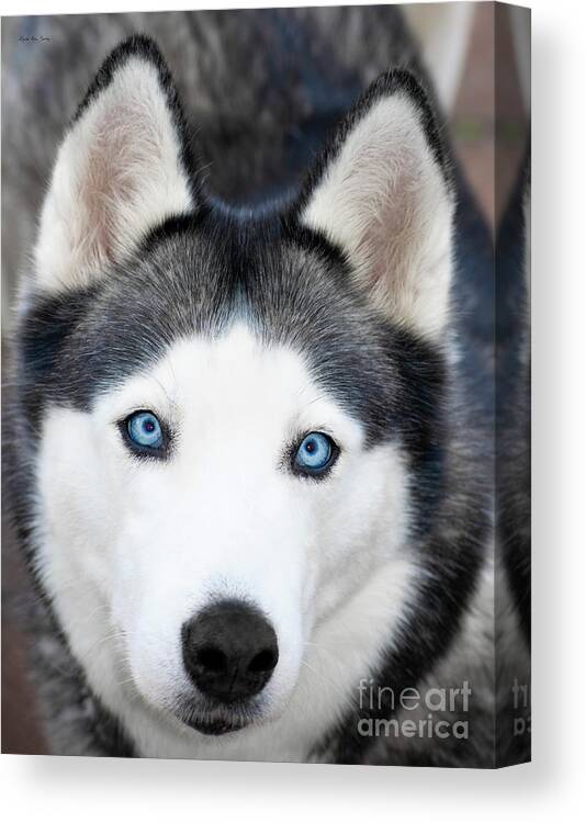 Wildlife Canvas Print featuring the painting Siberian Husky Mask A91818 by Mas Art Studio