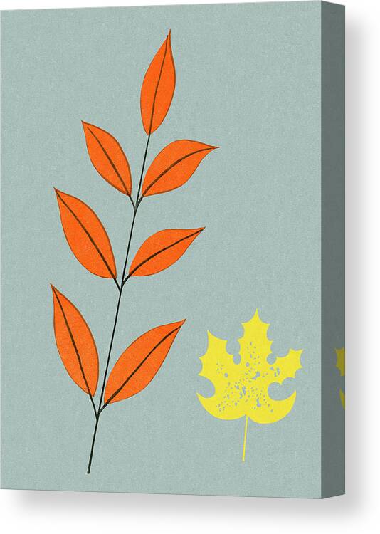 Autumn Canvas Print featuring the drawing Small Orange Leaves and Yellow Leaf by CSA Images