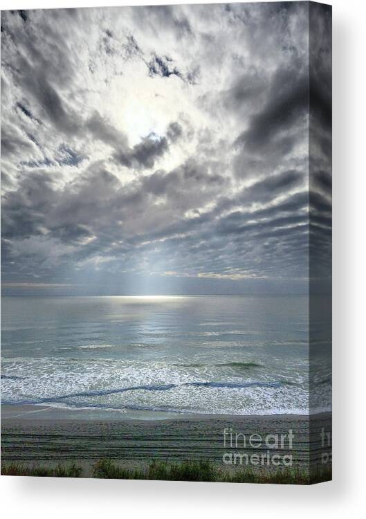 Spotlight Canvas Print featuring the photograph Spotlight by Kathy Strauss