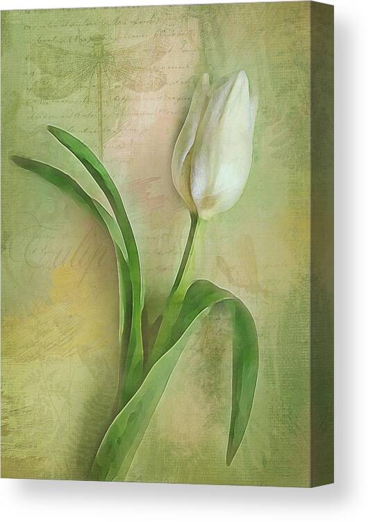 Tulip Canvas Print featuring the digital art Spring Tulip Montage by Jill Love