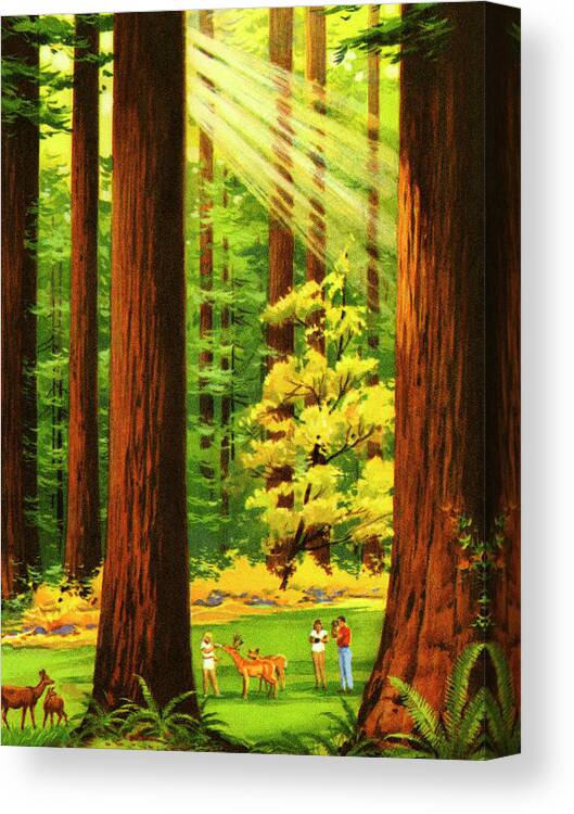 Animal Canvas Print featuring the drawing Sun Shining Through the Forest by CSA Images