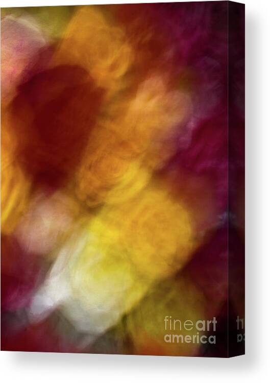 Abstract Canvas Print featuring the photograph Sunflower abstract by Phillip Rubino