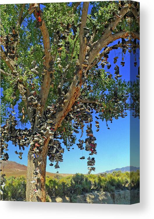 Trees Canvas Print featuring the photograph The Shoe Tree by David Bailey