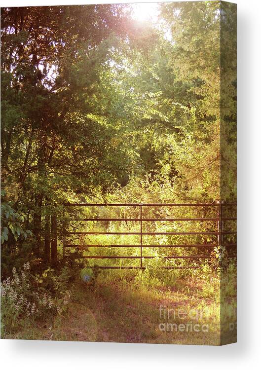 Autumn Canvas Print featuring the photograph Through a Country Gate by Jayne Wilson