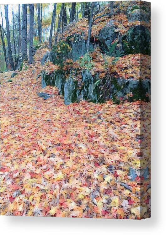 Photoshop Canvas Print featuring the digital art Through the woods #2 by Steve Glines