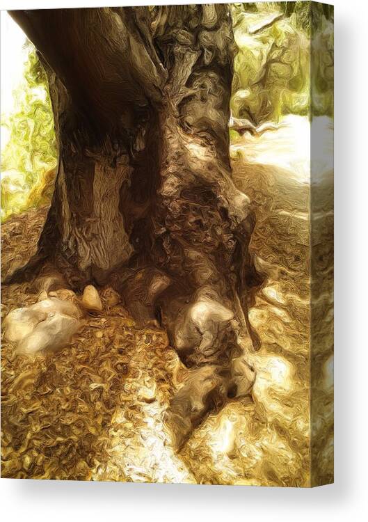 Faux Canvas Print featuring the digital art Tree- Los Virgenes by Bernie Sirelson