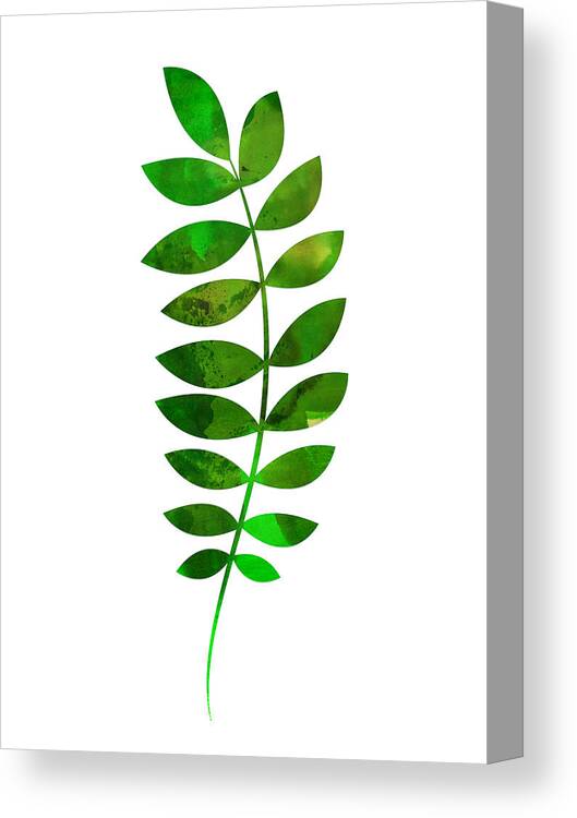 Tropical Leaf Canvas Print featuring the mixed media Tropical Zamioculcas Leaf by Naxart Studio