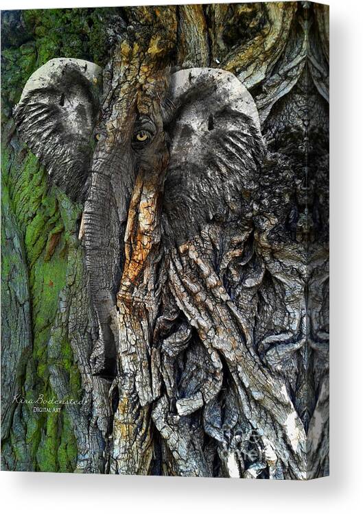 Tree Canvas Print featuring the photograph Trunk by Kira Bodensted
