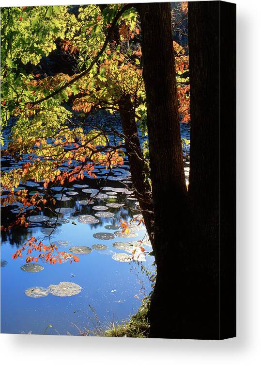 Agua Canvas Print featuring the photograph USA, Idaho St Maries River Landscape by Jaynes Gallery