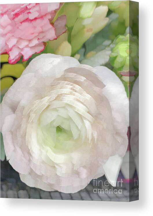 Abstract Canvas Print featuring the photograph White rose pastel by Phillip Rubino