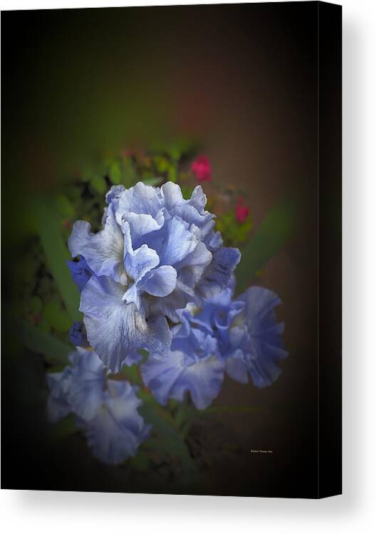 Botanical Canvas Print featuring the photograph Blue Green Red #1 by Richard Thomas