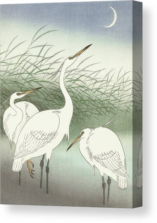 Birds Canvas Print featuring the painting Herons in shallow water #2 by Ohara Koson