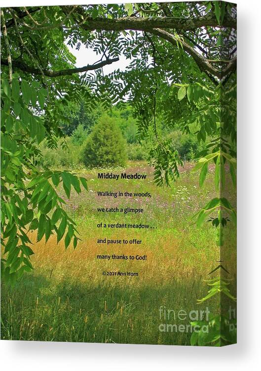 Landscape Canvas Print featuring the photograph Midday Meadow #2 by Ann Horn
