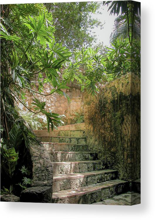Chichen Itza Canvas Print featuring the photograph Steps near cenote - Chichen Itza #1 by Frank Mari