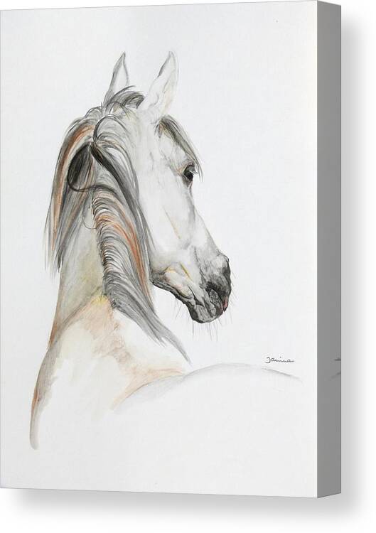 Horse Original Painting Canvas Print featuring the painting Ansata El Naseri #1 by Janina Suuronen