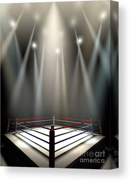 Custom Logo and Brand Printing on Boxing Ring Canvas, Sideskirts, Rope  Covers, Corner Cushions for Boxing, Wrestling, Muay Thai, Kick Boxing - Etsy