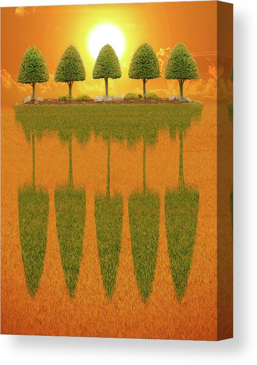 Tree Canvas Print featuring the photograph 5 Trees at Sun Set by Mike McGlothlen