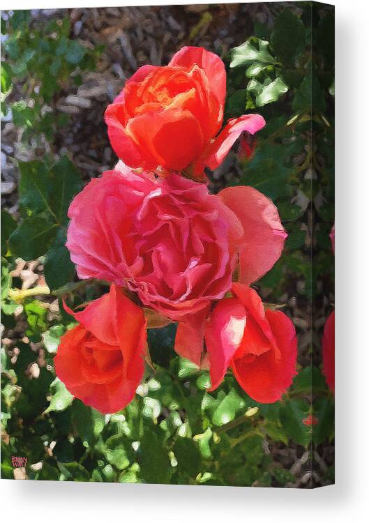 Roses Canvas Print featuring the photograph April Blossoms by Brian Watt
