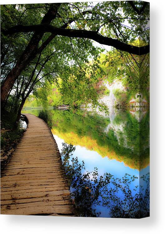 Trail Canvas Print featuring the photograph Autumn Stroll by Andrea Whitaker