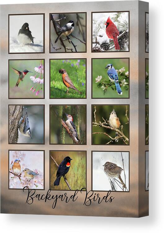 Birds Canvas Print featuring the photograph Backyard Birds by Lori Deiter