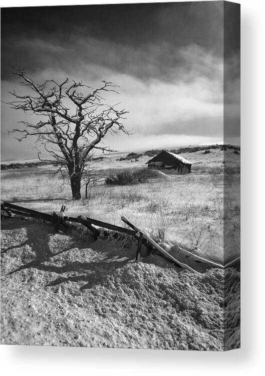 Winter Canvas Print featuring the photograph Barren Winter Landscape by Jerry Abbott