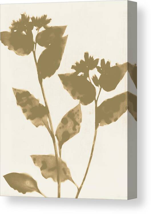 Neutral Canvas Print featuring the painting Beige and Taupe Flowers by Janine Aykens