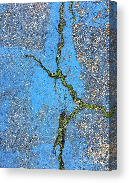 Blue Canvas Print featuring the photograph Blue Series 1-3 by J Doyne Miller