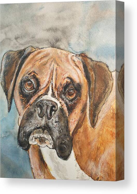 Boxer Canvas Print featuring the painting Boxer by Alison Steiner