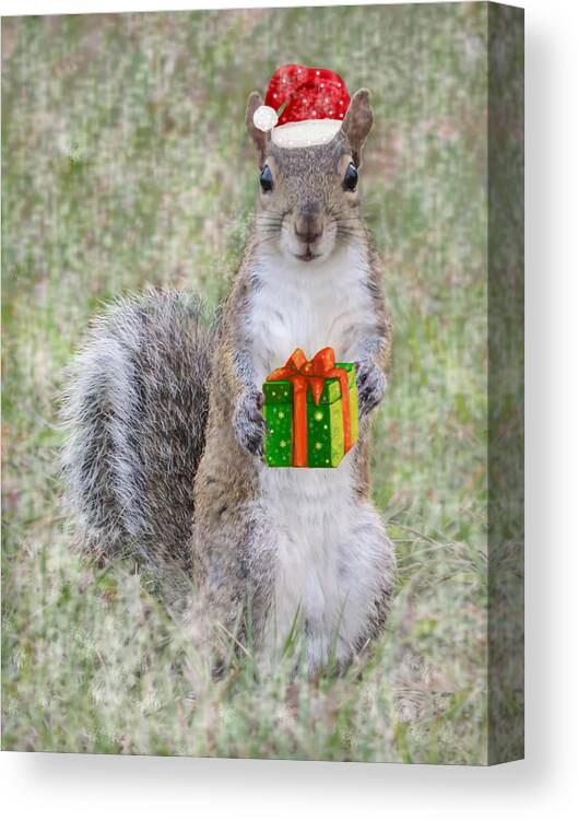 Christmas Canvas Print featuring the photograph Christmas gift from squirrel by Zina Stromberg