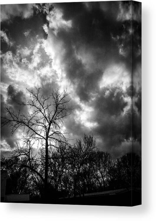 Clouds Canvas Print featuring the photograph Cloudy Day Trees by W Craig Photography