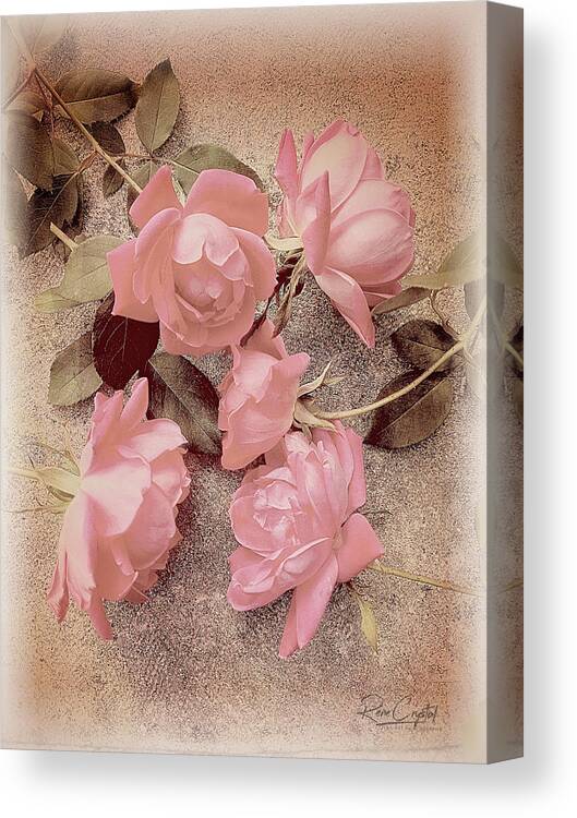 Roses Canvas Print featuring the photograph Confab of the Pink by Rene Crystal