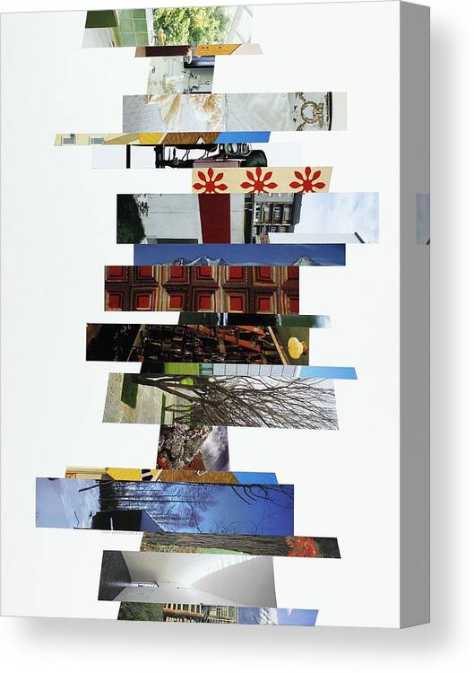 Collage Canvas Print featuring the photograph Crosscut#126v by Robert Glover