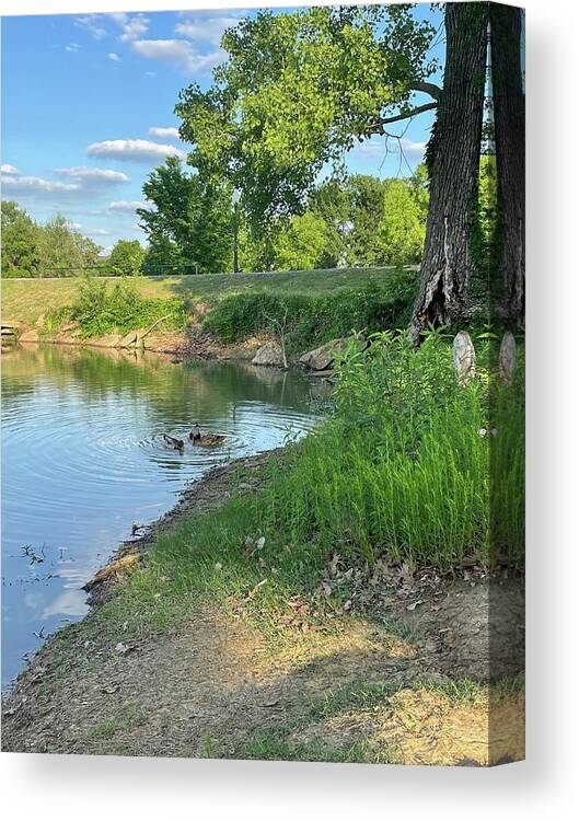 Ducks Canvas Print featuring the photograph Duck pond by Thomas Whitlock