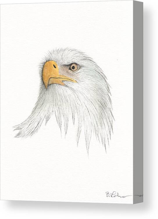 Eagle Watercolor Canvas Print featuring the painting Eagle #2 by Bob Labno