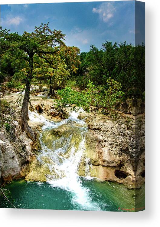 Tree Canvas Print featuring the photograph Edge Falls Boerne, TX by Rene Vasquez