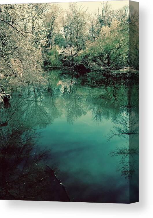  Canvas Print featuring the photograph Favorite Spot at Lake by Judy Frisk
