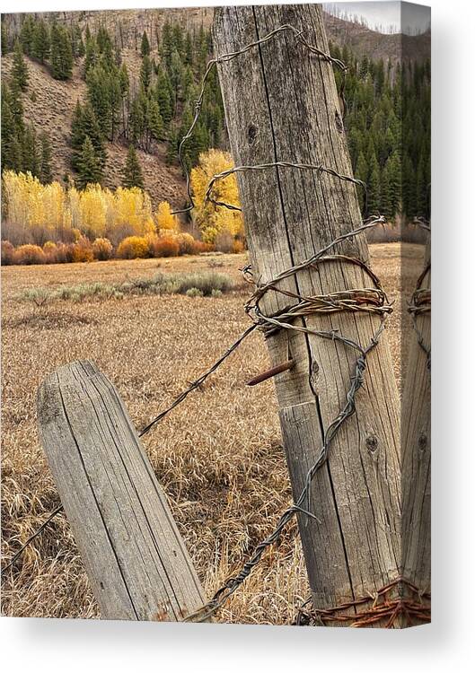Close-up Canvas Print featuring the photograph Barbed Wire Mountain Fence by Jerry Abbott