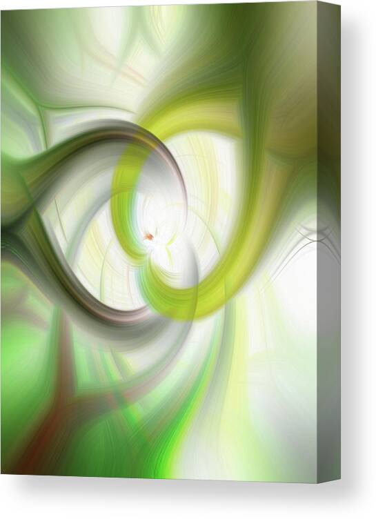 Flower Canvas Print featuring the photograph Flower Twirls 4 by Betty Eich