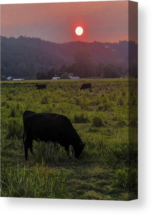 Forest Canvas Print featuring the photograph Forest Fire Haze by Grey Coopre