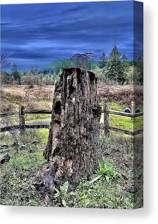 Deforestation Canvas Print featuring the photograph Forest Remnant with Shower Looming by Michael Oceanofwisdom Bidwell