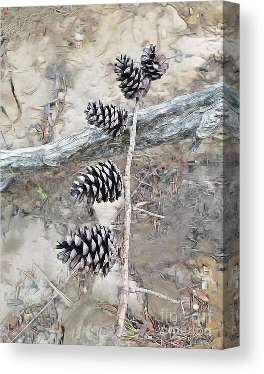 Pine Canvas Print featuring the photograph Fruit Of The Pine by Rachel Hannah