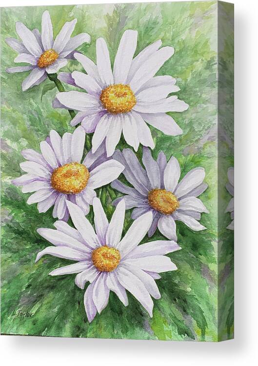 Daisy Canvas Print featuring the painting Garden Daisies by Lori Taylor
