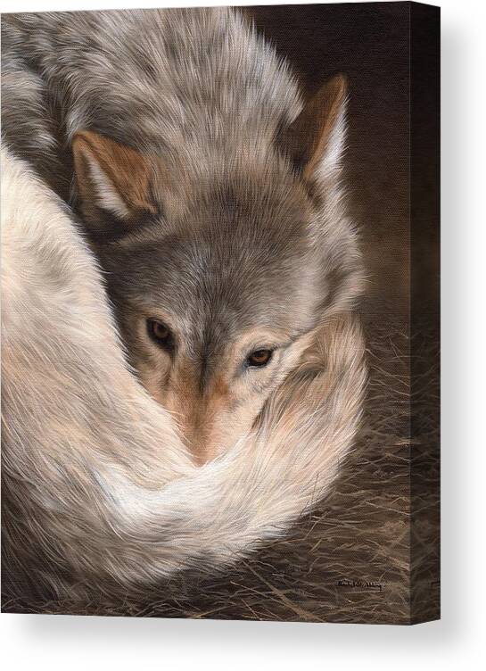 Wolf Canvas Print featuring the painting Grey Wolf Painting by Rachel Stribbling