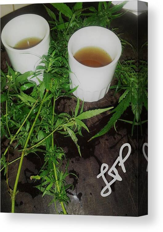 Cannabis Canvas Print featuring the photograph Healing of the Nation by Esoteric Gardens KN
